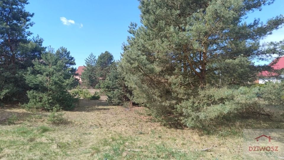 Działka budowlana Janówek Pierwszy
