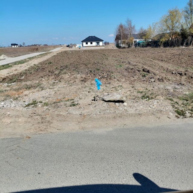 Zdjęcie 3