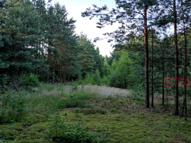 Działka budowlana Prace Duże