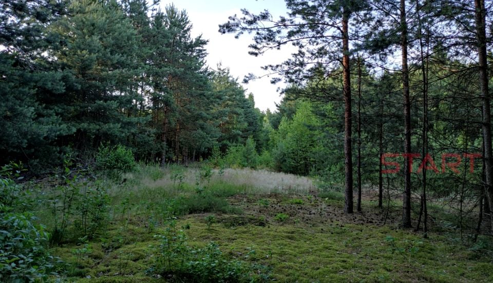 Działka budowlana Prace Duże