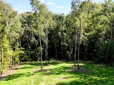Działka budowlana Malawa