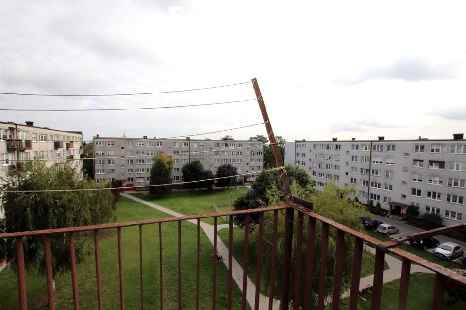 Zdjęcie 3