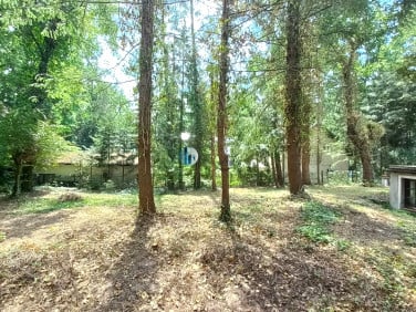 Dom Zalesie Górne