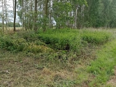 Działka budowlano-rolna Kąty Trzebuskie