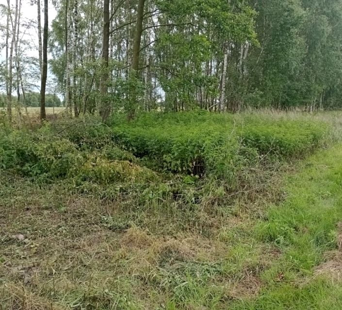 Działka budowlano-rolna Kąty Trzebuskie