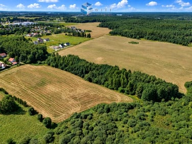 Działka Zwierzewo