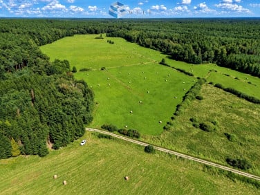 Działka rolna Liwa sprzedam