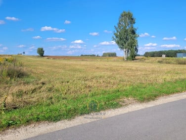 Działka siedliskowa Pałecznica