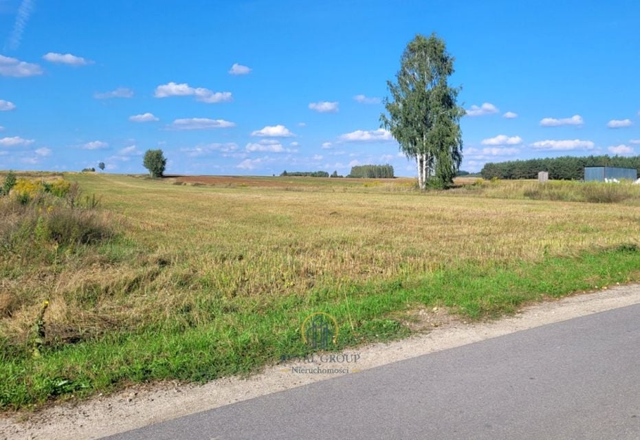 Działka siedliskowa Pałecznica