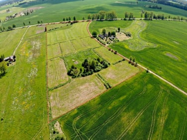 Działka Guty