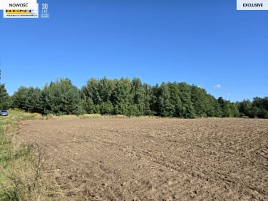 Działka rekreacyjna Chłopowo