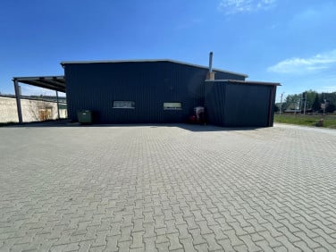 Lokal Czyżew