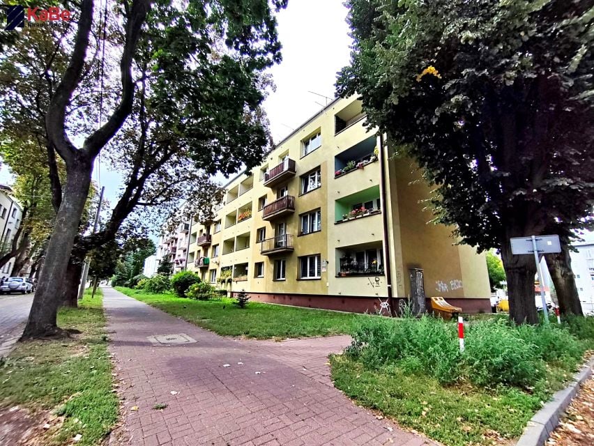 Zdjęcie 3