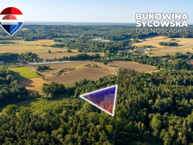 Działka leśna Bukowina Sycowska
