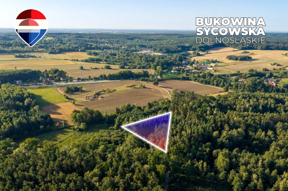 Działka leśna Bukowina Sycowska