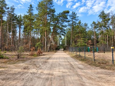 Działka inna Salomonka