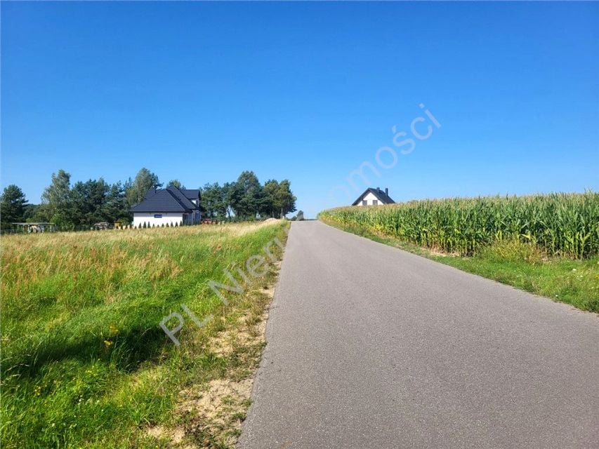 Zdjęcie 2