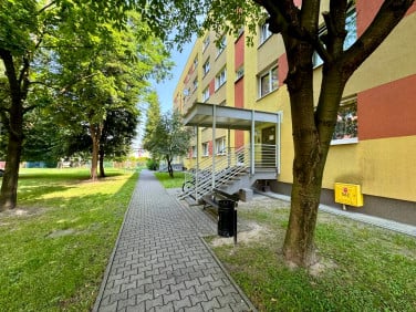 Mieszkanie Knurów