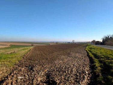 Działka Rudnik
