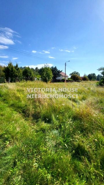 Zdjęcie 3