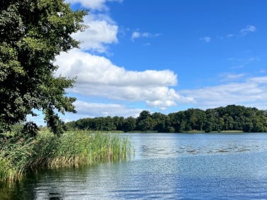 Działka budowlana Zwola