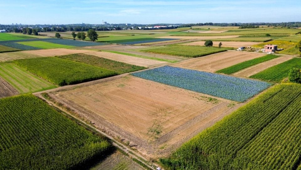 Działka usługowa Piekary Śląskie