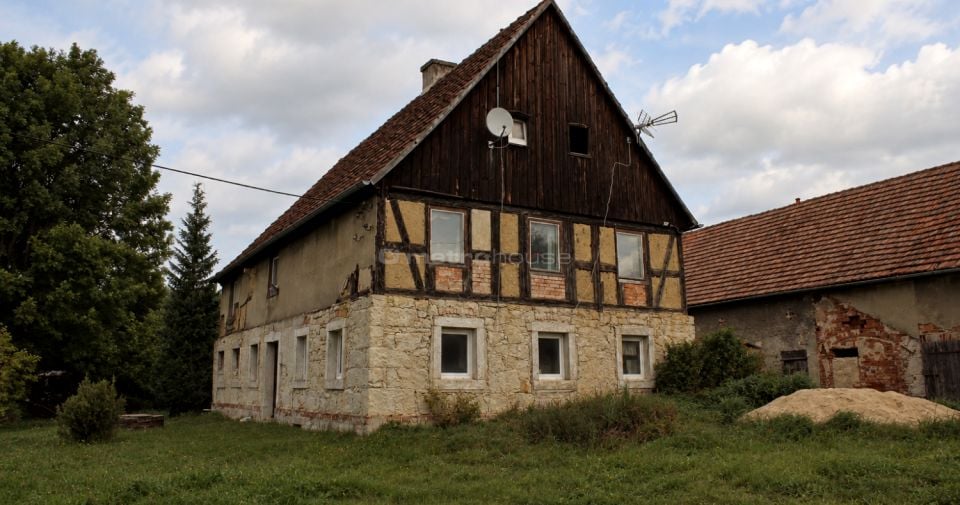 Zdjęcie 2