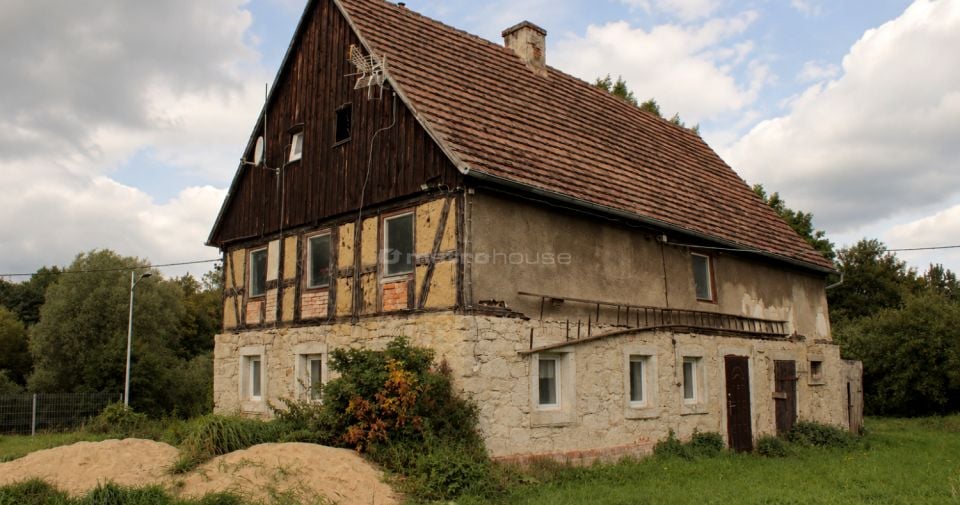 Zdjęcie 3