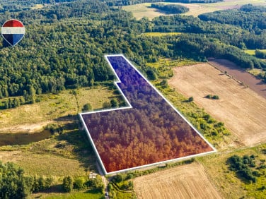 Działka leśna Bukowina Sycowska