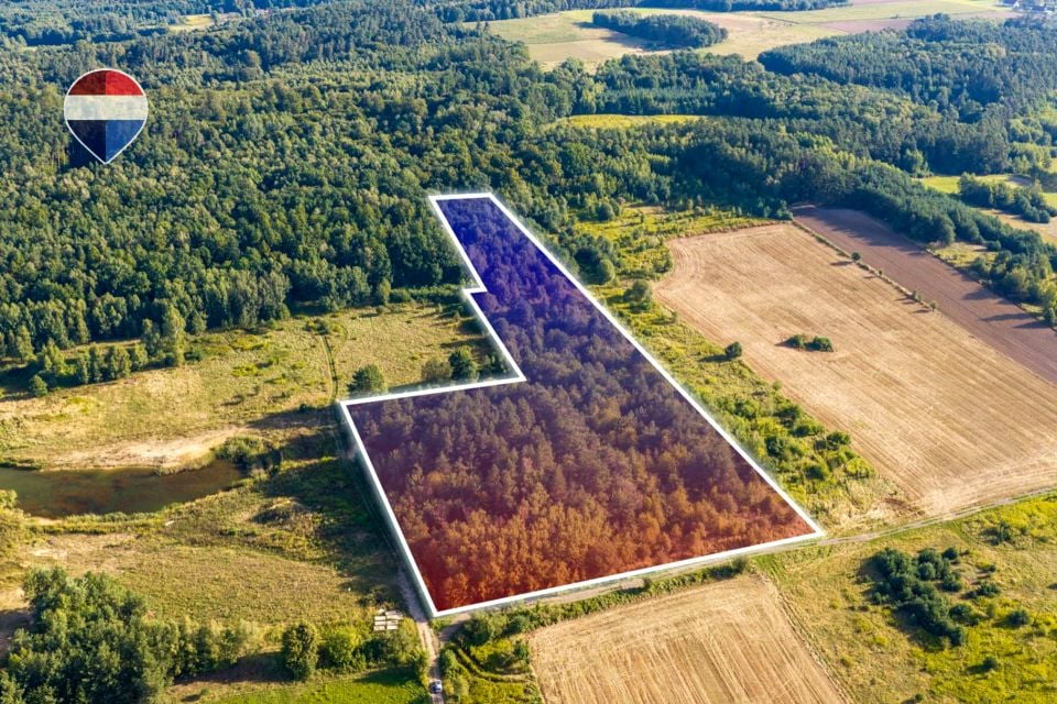 Działka leśna Bukowina Sycowska