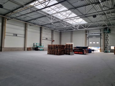 Budynek użytkowy Kleszczewo wynajem
