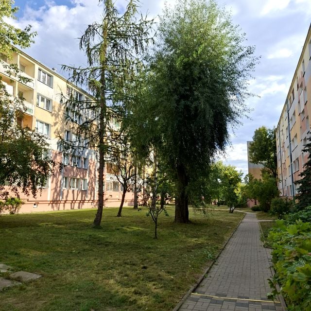 Mieszkanie Łódź