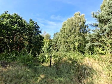 Działka budowlana Bogdaniec