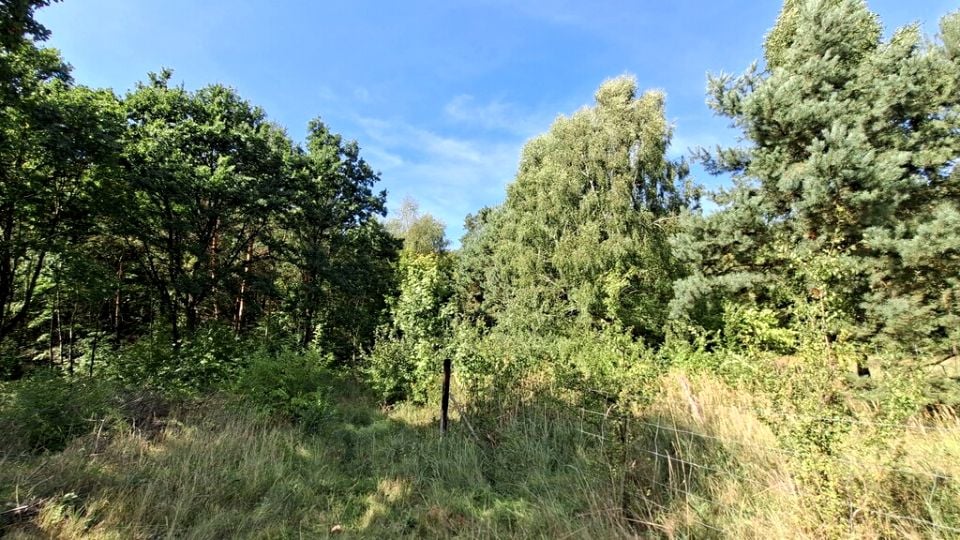 Działka budowlana Bogdaniec