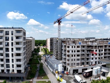Lokal Wrocław