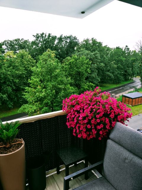 Mieszkanie Świdnica Polska