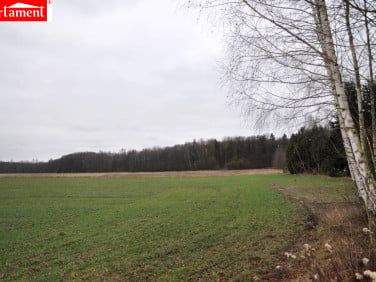Działka budowlana Ostrowina