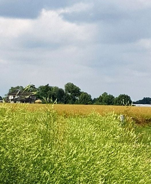 Sprzedam działkę Lusowo - 4 300 m²