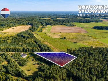 Działka leśna Bukowina Sycowska