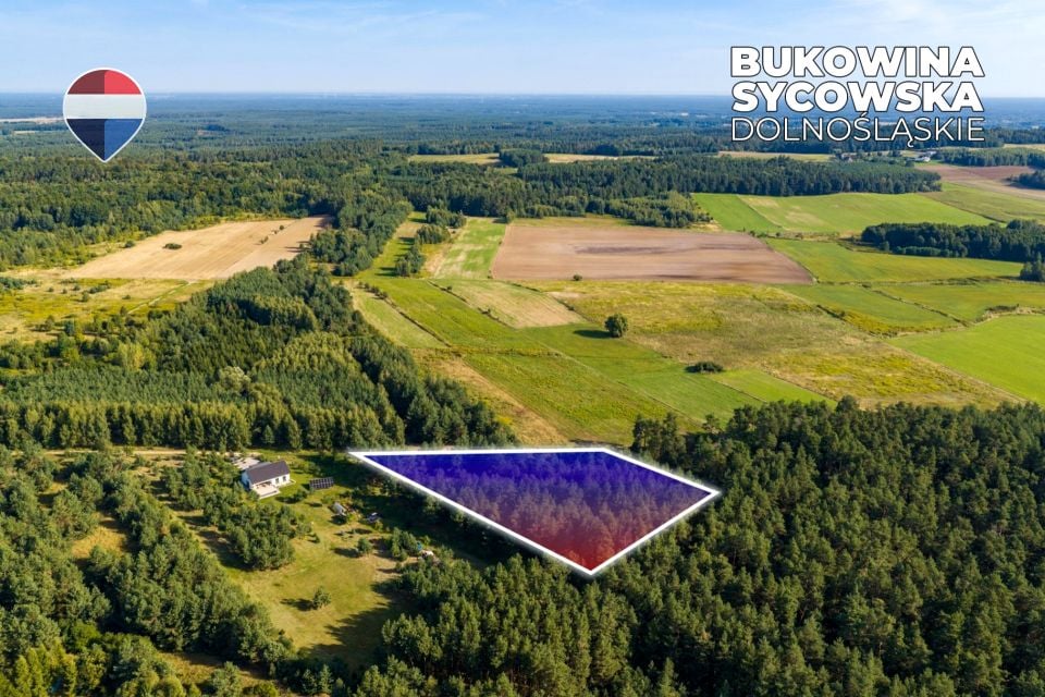 Działka leśna Bukowina Sycowska