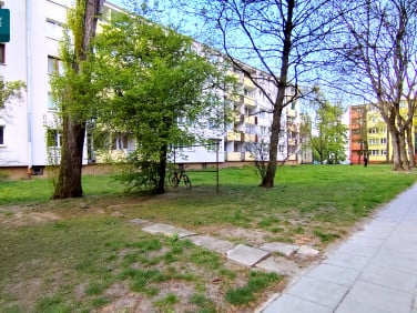 Mieszkanie Łódź