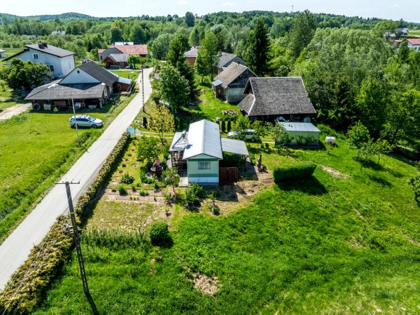 Zdjęcie 3