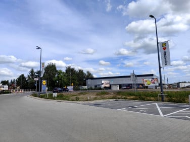 Działka przy lesie