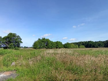 Działka budowlano-rolna Gryfice sprzedam