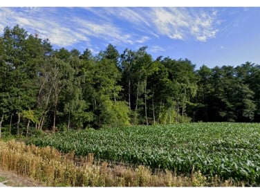 Działka inna sprzedam