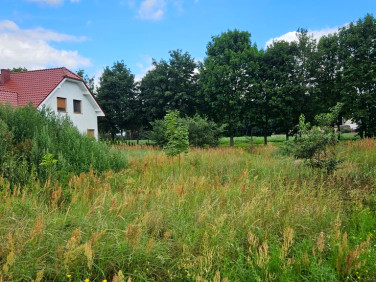 Działka inwestycyjna Mochy