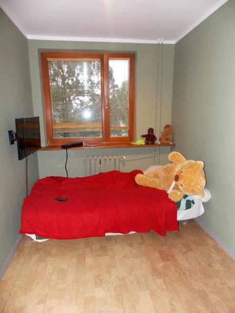 Zdjęcie 3