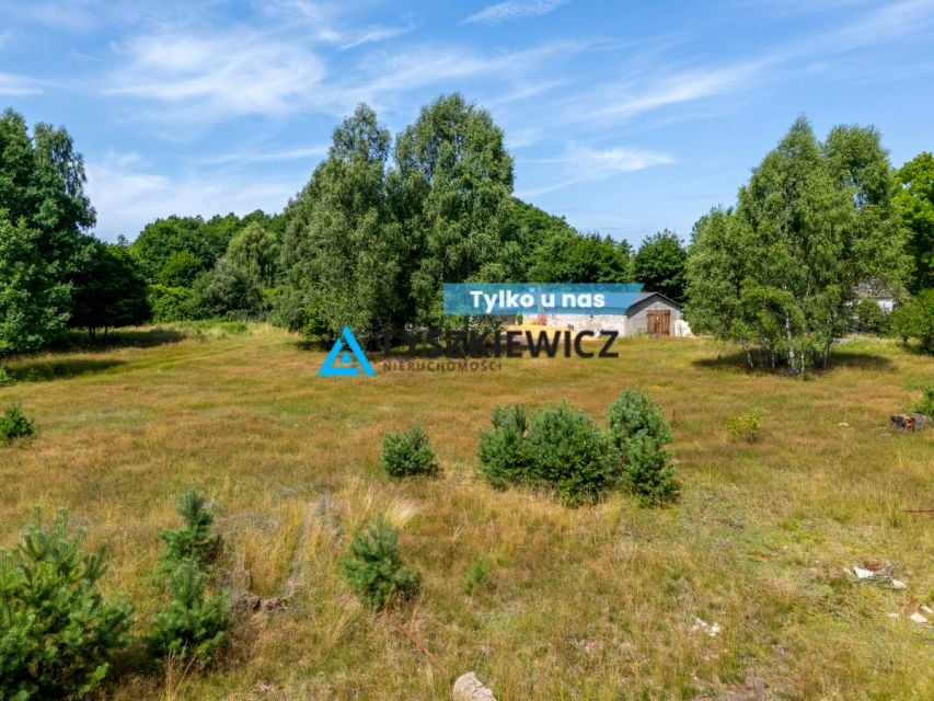Działka siedliskowa Dzików