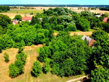 Działka Kryniczno