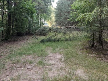 Działka inna Nowe Miasto